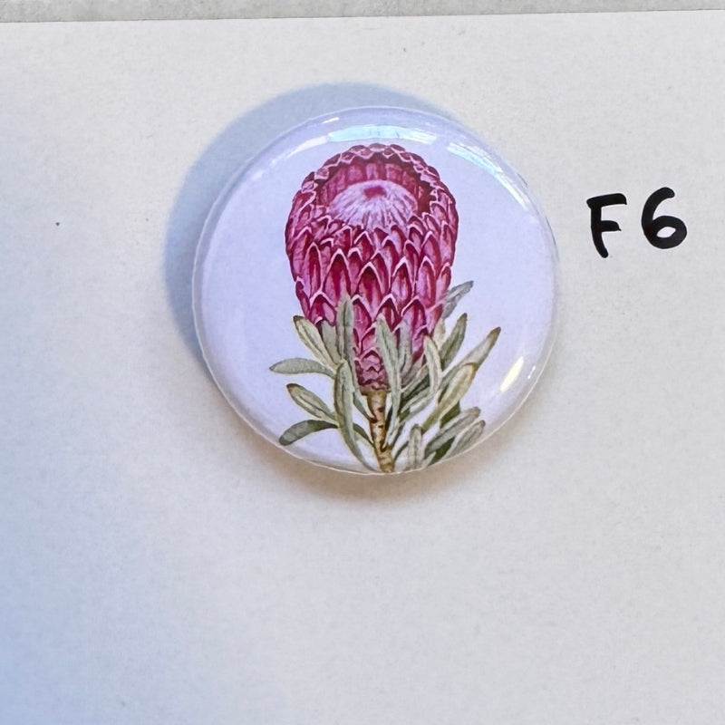 Needle Minders - Small